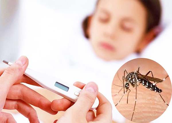 Theo dõi và chăm sóc bệnh nhân sốt xuất huyết Dengue tại nhà