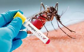 TRIỆU CHỨNG VÀ CÁCH ĐIỀU TRỊ SỐT XUẤT HUYẾT DENGUE