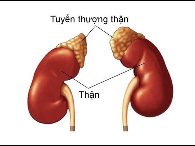 Rối loạn tuyến thượng thận