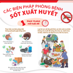 🏥 NÂNG CAO Ý THỨC HỘ GIA ĐÌNH TRONG PHÒNG, CHỐNG BỆNH SỐT XUẤT HUYẾT