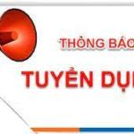 Thông báo tuyển dụng lao động hợp đồng quý IV/2026